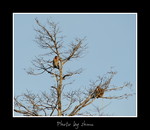 DSC_3270int