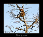 DSC_3287int