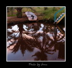 DSC_3316int
