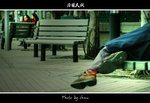 DSC_8442bint