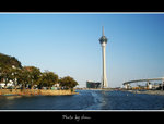 DSC_8816bint
