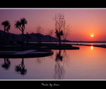 DSC_8941bint
