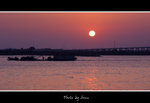 DSC_8957bint