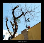 DSC_8646bint