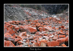 DSC_1290bint