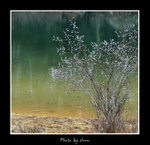 DSC_2292bint