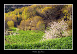 DSC_0155bint