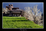 DSC_0163bint