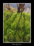 DSC_0165bint