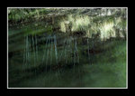 DSC_0190bint