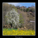 DSC_0227bint