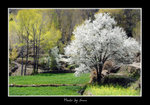 DSC_0549bint