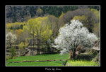 DSC_0550bint