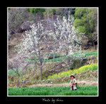 DSC_0871bint