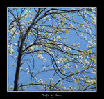 DSC_0879bint