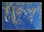 DSC_0910bint