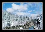 DSC_1787bbint