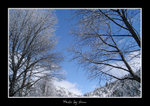 DSC_1807bint