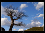 DSC_8223int