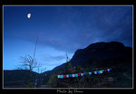DSC_8331int