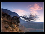 DSC_8364int