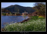 DSC_8407int