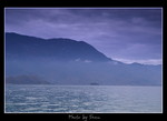 DSC_8439int