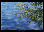 DSC_8528int