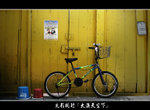 DSC_8134bint
