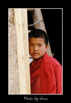 DSC_0389int