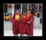 DSC_0462int