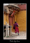 DSC_0512int