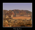 DSC_0720int