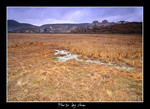 DSC_9918int