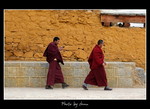 DSC_0505int