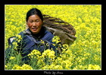 DSC_0914int