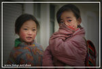 DSC_8446btint
