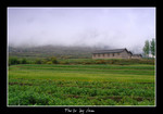 DSC_9690int