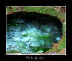 DSC_9745int