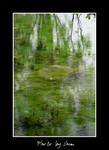 DSC_9755int