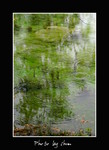 DSC_9758int