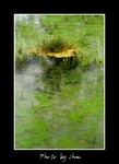DSC_9760int
