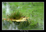 DSC_9763int