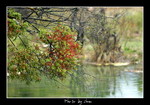 DSC_9764int