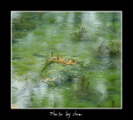 DSC_9767int