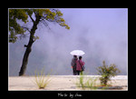 DSC_9768int