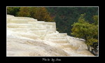 DSC_9772int