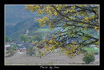 DSC_9806int