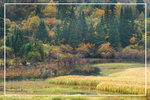 DSC_6810btint