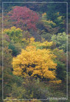 DSC_7076btintint